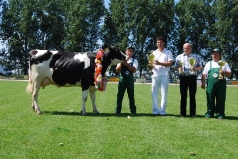 pudliszki foto