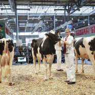 EuroTier już niebawem!
